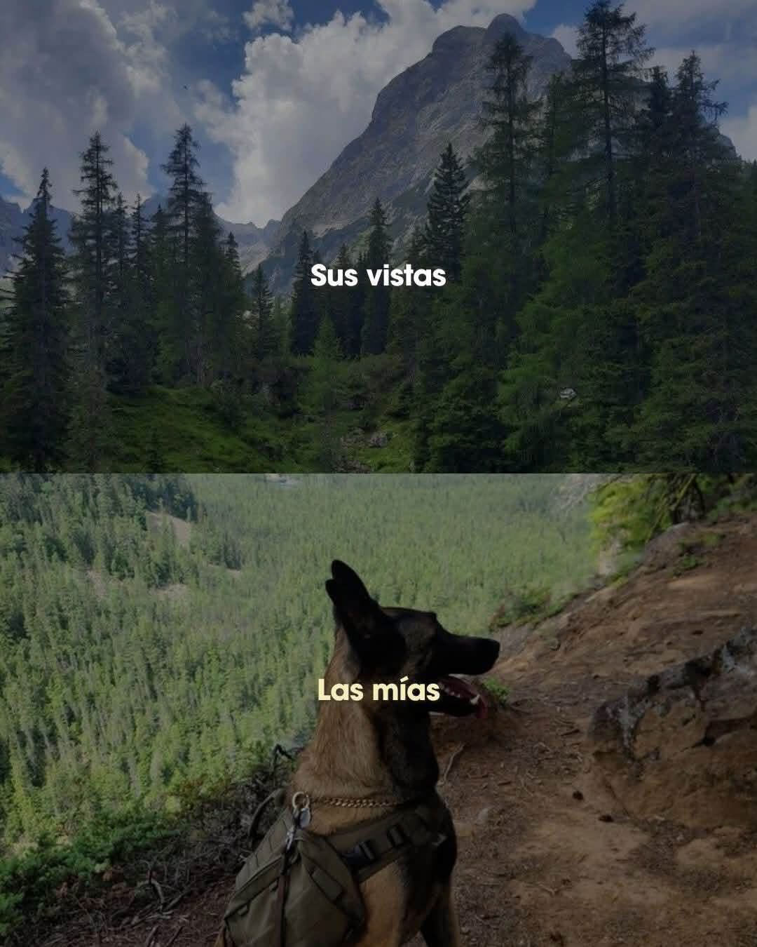 Meme: arriba un paisaje de montaña con el texto Sus vistas; abajo un perro pastor belga en el sendero con el texto Las mías